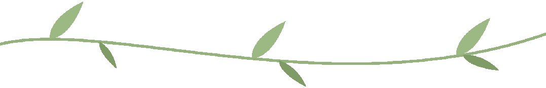 interfiliere Shanghai上海国际贴身时尚原辅料展