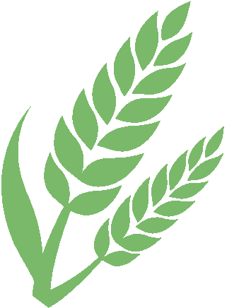 interfiliere Shanghai上海国际贴身时尚原辅料展 interfiliere Shanghai上海国际贴身时尚原辅料展