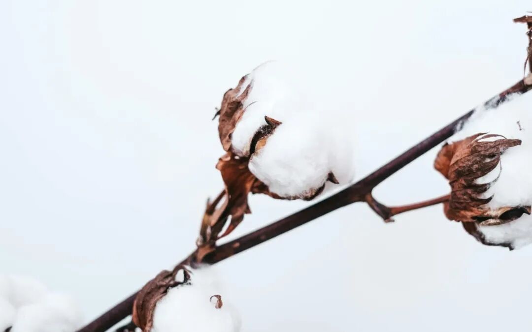 interfiliere Shanghai上海国际贴身时尚原辅料展