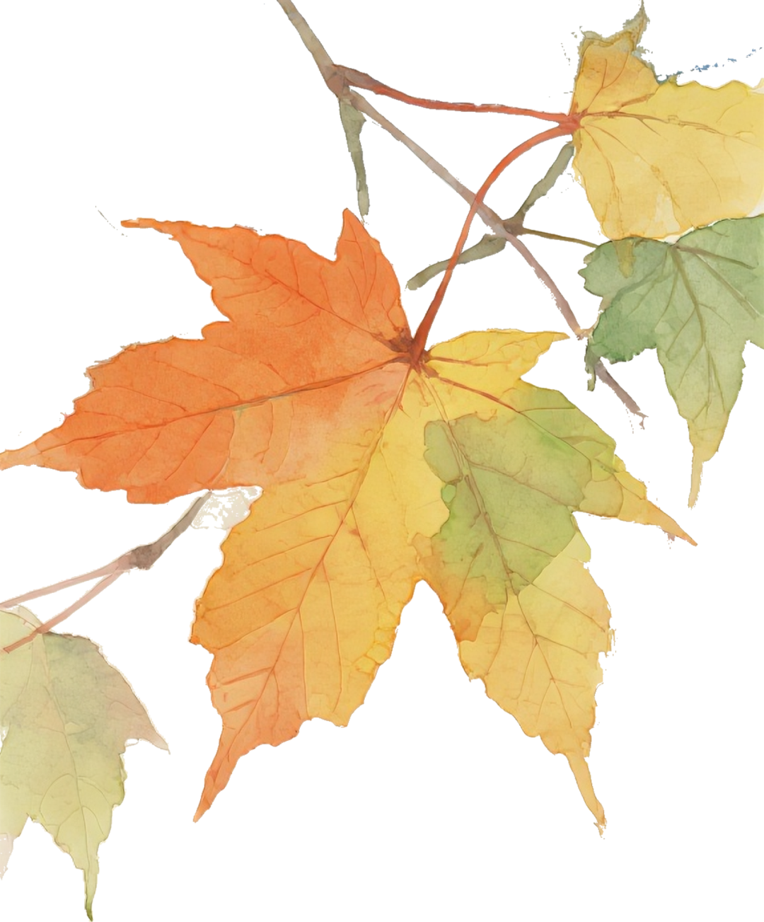 interfiliere Shanghai上海国际贴身时尚原辅料展