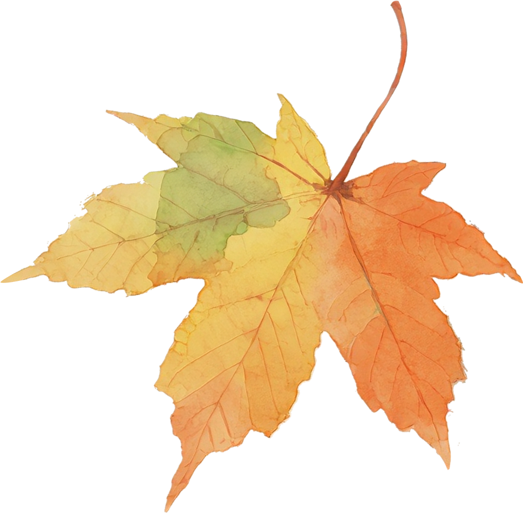 interfiliere Shanghai上海国际贴身时尚原辅料展