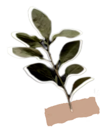 interfiliere Shanghai上海国际贴身时尚原辅料展