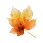 interfiliere Shanghai上海国际贴身时尚原辅料展