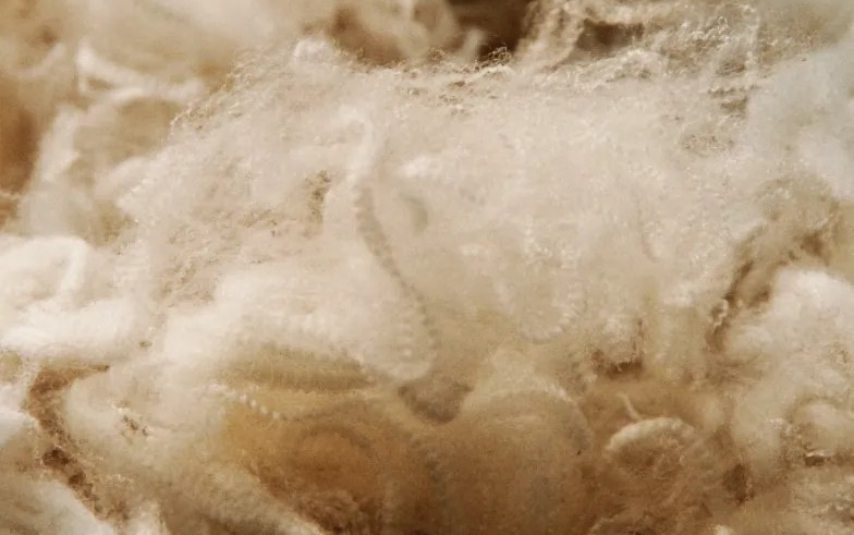 interfiliere Shanghai上海国际贴身时尚原辅料展