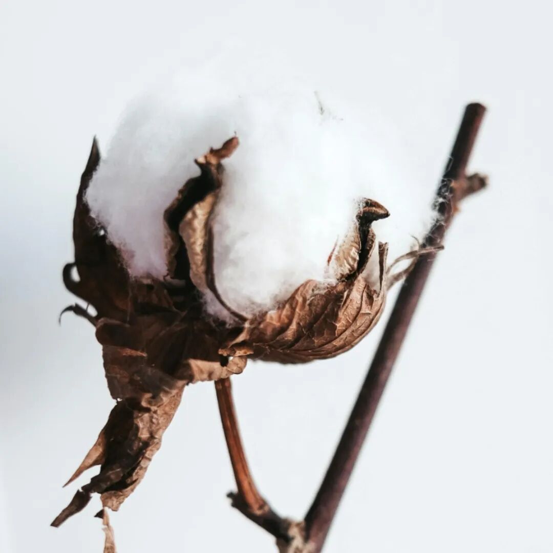 interfiliere Shanghai上海国际贴身时尚原辅料展